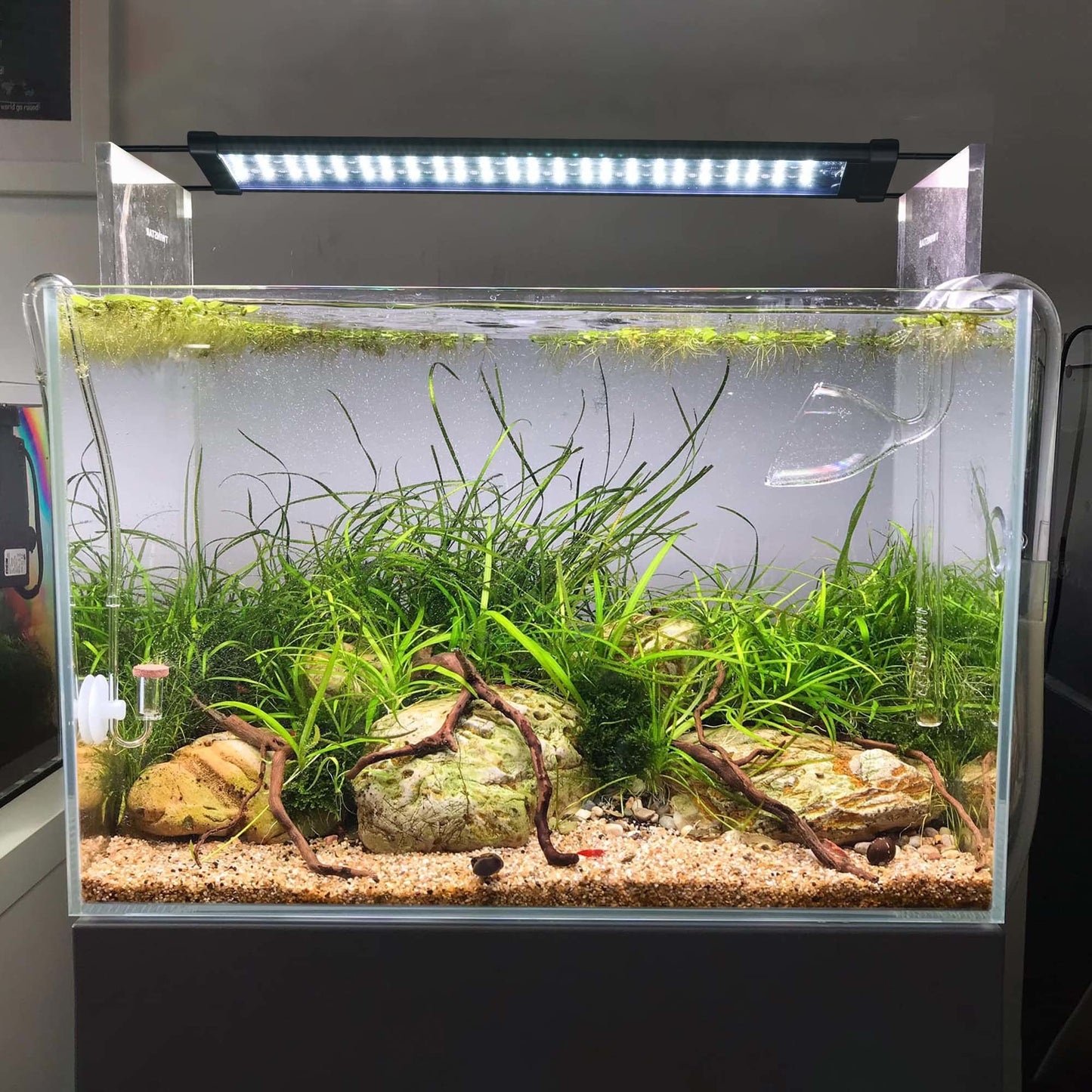 RGB Aquarium Light