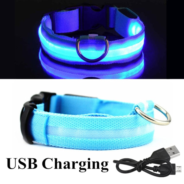USB Rechargeable Pet Dog LED Glowing Collar Pet Luminous Flashing Necklace Outdoor Walking Dog Night Safety Supplies