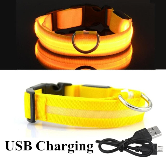 USB Rechargeable Pet Dog LED Glowing Collar Pet Luminous Flashing Necklace Outdoor Walking Dog Night Safety Supplies