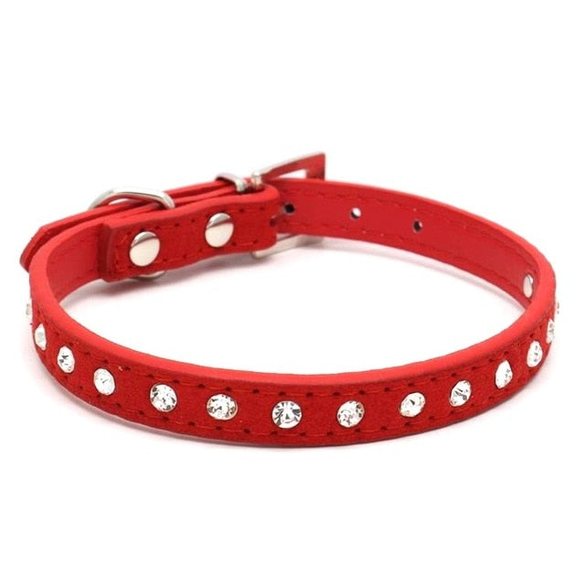 PipiFren Cats/Small Dogs Collar Necklace