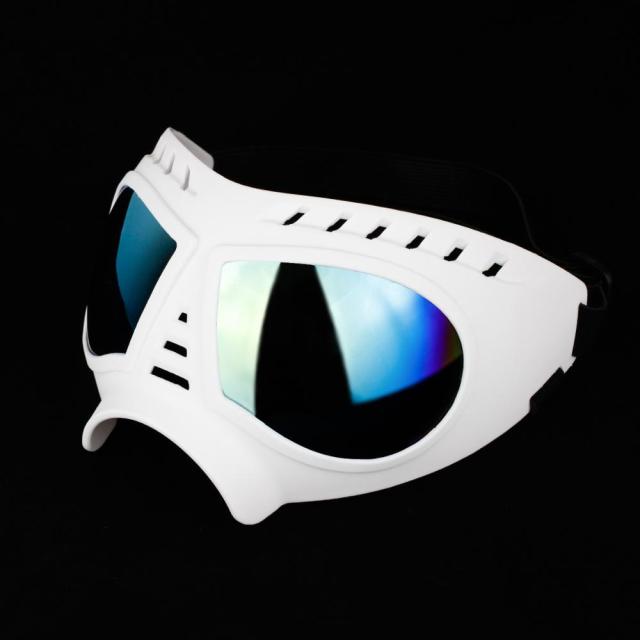 Dog Goggles Large & Small Breed