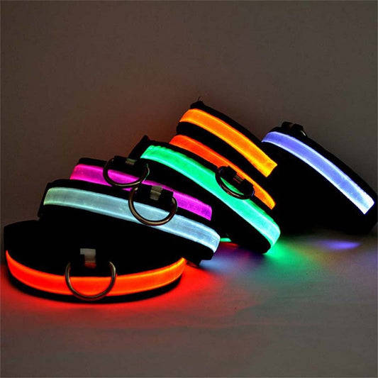 Pet Supplies LED Pet Cat Dog Collar Luminous Safety Glow Necklace Flashing Lighting Up Collars For puppy Small Dog